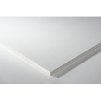 TOPIQ PRIME VT-S 24 600X600 EP 15 MM AMF