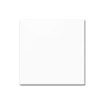GRES EXTRA WHITE POLI 50X50