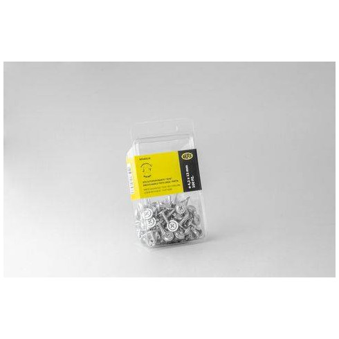 VIS 13X4,2 MM TETE PLATE (BTE 100) AKIFIX