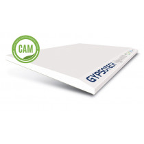 PLAQUE GYPSOARYA HD BA13 1200X2000 FASSA GYPSOTECH