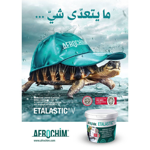 ETALASTIC V 20Kg
